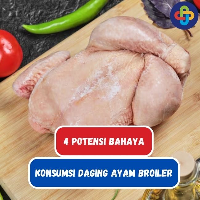4 Potensi Bahaya Jika Terlalu Sering Konsumsi Ayam Broiler